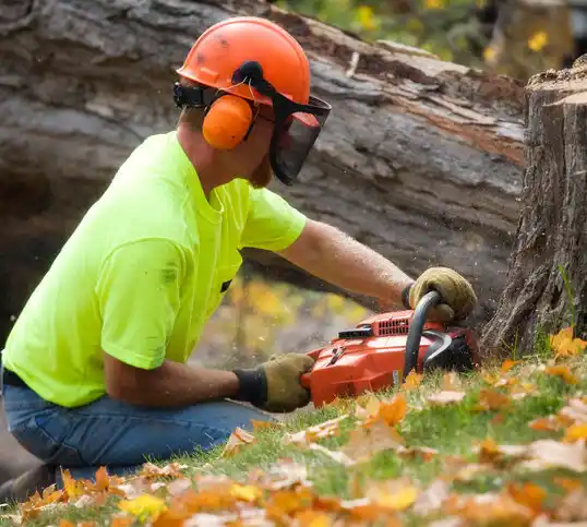 tree services Caliente